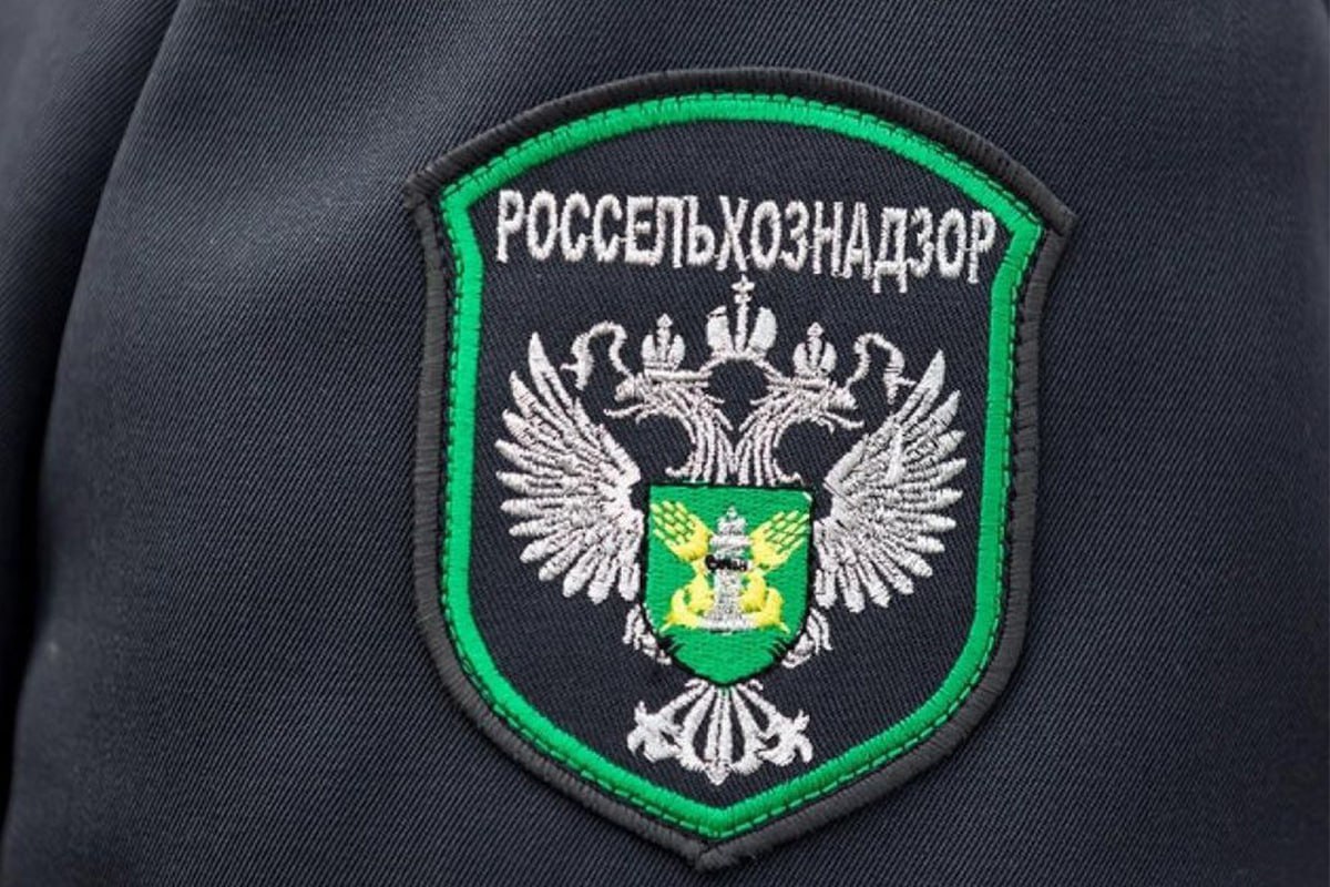 Россельхознадзор раскрыл грязную игру с землёй под мусорный полигон на Урале На Урале, в Сысерти, разгорается настоящий земельный скандал. Всё больше фактов указывает на попытку властей и крупных бизнесменов провести спорный проект, несмотря на протесты жителей. Россельхознадзор недавно ограничил использование земель, на которых планировалось строительство мусорного полигона мощностью 700 тыс. тонн в год. Причина — участки заросли травой и кустарниками, и по закону они не могут быть использованы в таком виде. Компания «Экологические системы», связанная с бизнесменами Алексеем Бобровым и Артёмом Биковым, получила землю от банка «Агропромкредит» в конце 2024 года, несмотря на явное нарушение экологических норм. В 2023 году Россельхознадзор уже пытался добиться очистки участка от сорняков, однако арбитражный суд признал требования незаконными, что не остановило ведомство от попытки вновь добиться правды через суды и Генпрокуратуру. Проект строительства мусоросортировочного комплекса, на который выделены огромные средства — 13,8 млрд рублей — несёт серьёзные экологические риски. А жители Сысерти не хотят этого. Уже четыре раза они пытались инициировать референдум против строительства полигона, но каждый раз сталкивались с отказами местных властей. Что происходит на самом деле? Почему местные власти и крупные бизнесмены продолжают продвигать проект, несмотря на протесты общественности и нарушения экологических норм? Ответ очевиден — за этим стоит не только крупный бизнес, но и желание получить гигантскую прибыль, рискуя здоровьем и благосостоянием жителей. Неужели все протесты можно просто проигнорировать ради экономической выгоды? Источник: КГБ-НКВД