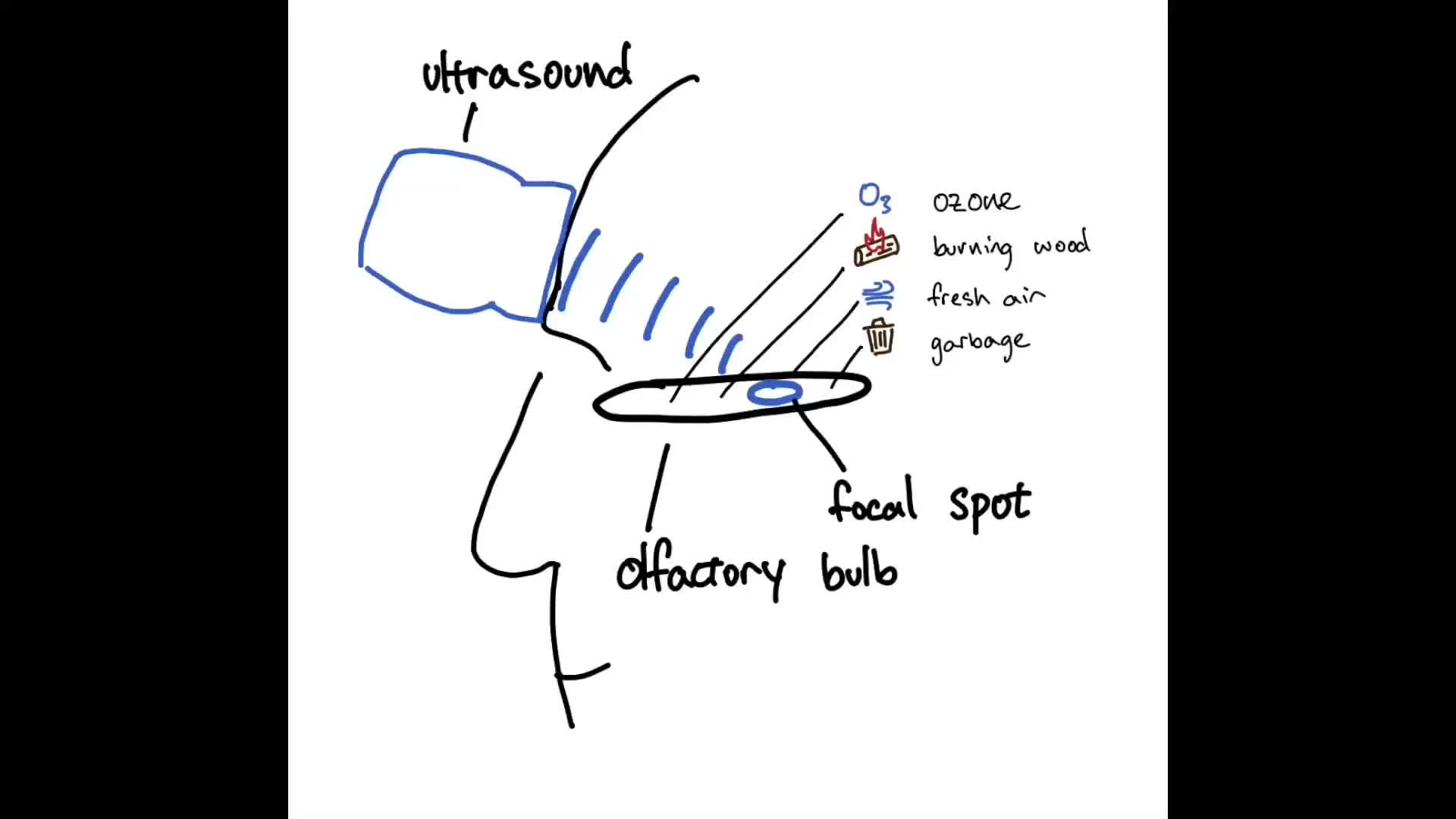 Ученые разработали гарнитуру для передачи запахов через ультразвук