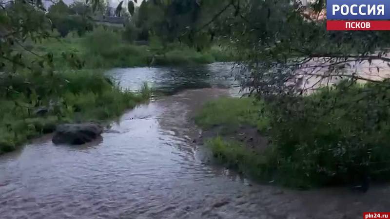 Проруратура организовала проверку по факту загрязнения реки Милевка в Пскове По поручению прокурора области Андрея Мошкова Псковской природоохранной межрайонной прокуратурой организована проверка по сообщению средств массовой информации об очередном факте загрязнения реки Милевка в городе Пскове. В ходе проверочных мероприятий будут установлены все обстоятельства произошедшего. При выявлении нарушений будет принят весь комплекс мер прокурорского реагирования. Ход и результаты проверочных мероприятий находятся на контроле в прокуратуре области.