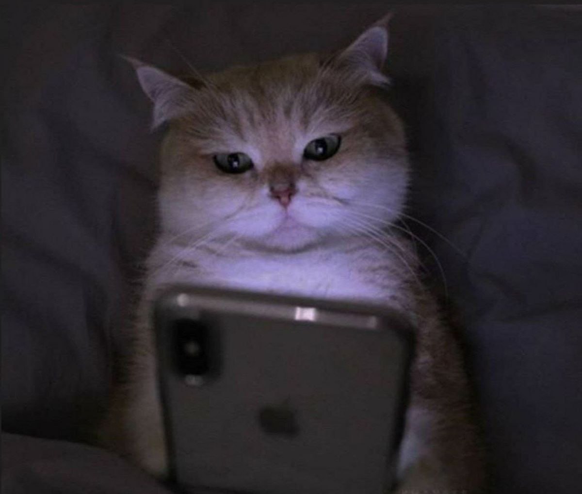 От просмотра рилсов перед сном можно ослепнуть врачи Специалисты предупреждают что просмотр коротких видео на смартфоне в полной темноте разрушает сетчатку глаза переутомляет глазные мышцы и снижает остроту зрения