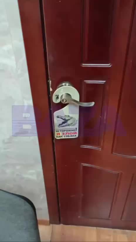 Крокодил Глафира живет в офисе телеканала Обнинск ТВ более 20 лет