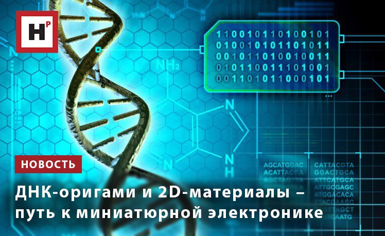 Ученые разработали метод для прецизионной функционализации двумерных полупроводников органическими молекулами В основе концепции лежит метод молекулярной самосборки наноструктур из ДНК называемых ДНК оригами которые несут молекулы органических красителей ДНК оригами позиционируются на чипах затем перекрываются слоем двумерного полупроводника Показав что ДНК оригами может использоваться для того чтобы надежно и точно структурировать энергетический ландшафт двумерного полупроводника на наномасштабе ученые намерены в качестве следующего шага предпринять попытку реализовать конкретные наноэлектронные и нанофотонные устройства с использованием этого принципа В будущем наноструктурированные гибридные материалы такого рода могут лечь в основу компактных и высокопроизводительных устройств для оптических вычислений квантовых симуляций детектирования света и др Фото ru 123rf com Подробнее на портале Научная Россия днк электроника
