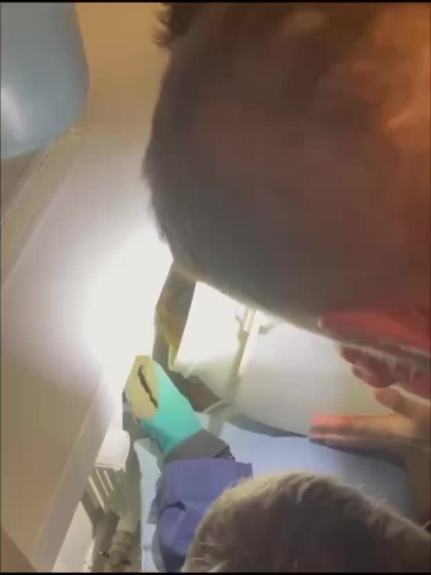 Спасатели освободили кошку Костю, застрявшую в батарее на шоссе Энтузиастов