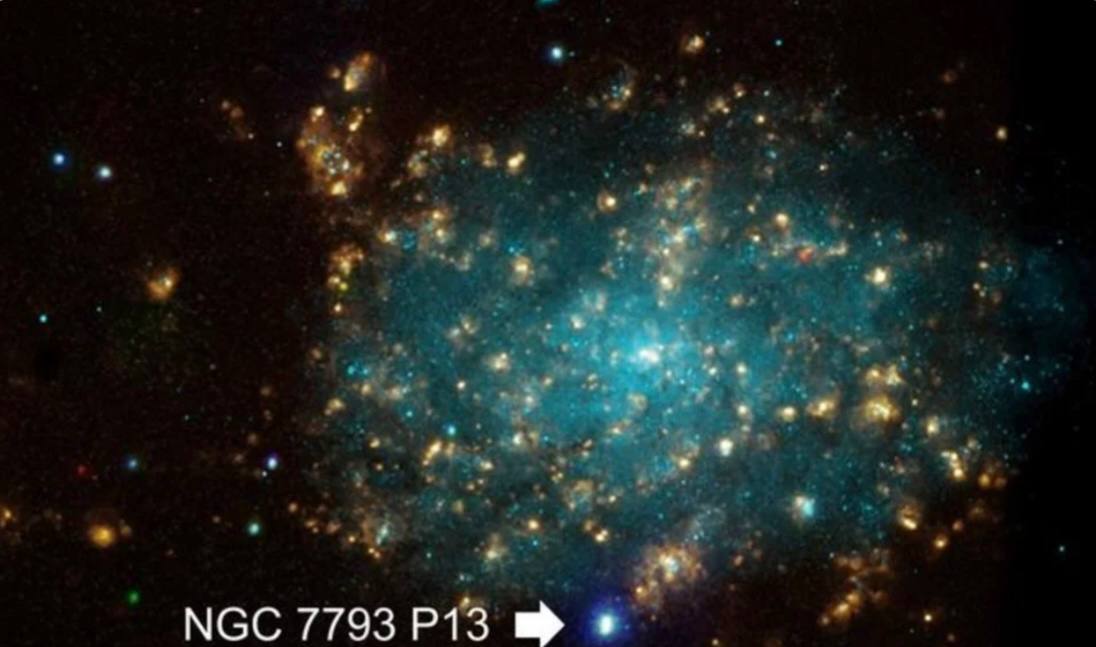 Астрономы впервые обнаружили связь между яркостью и вращением нейтронной звезды Газ попадая на нейтронную звезду или черную дыру ускоряется и сильно нагревается вызывая аккрецию увеличение массы объекта за счет гравитационного притяжения материи из окружающего пространства и испуская рентгеновское излучение Иногда объекты становятся аномально яркими из за сверхкритической аккреции когда поток газа чрезмерно велик Механизм этого явления оставался неизвестным Нейтронная звезда NGC 7793 P13 расположенная в 10 млн световых лет от Земли изучалась командой астрономов Ее масса превышает солнечную а размеры сопоставимы с городом Анализируя данные с четырех спутников XMM Newton Chandra NuSTAR и NICER за 2011 2025 гг ученые заметили резкий рост рентгеновской светимости звезды в 2022 году относительно низкой активности в 2021 году К 2025 году ее яркость возросла более чем на два порядка одновременно увеличилась и скорость вращения почти вдвое Исследователи пришли к выводу что структура аккреционных столбов формирующихся над полюсами звезды нестабильна и изменяется каждые 10 лет влияя на интенсивность рентгеновского излучения и частоту вращения Чем выше столб тем сильнее светится и быстрее вращается звезда Эти выводы помогают лучше понять механизмы сверхкритической аккреции Фото NASA CXC Univ of Strasbourg M Pakull et a Telegram МAX все наши каналы