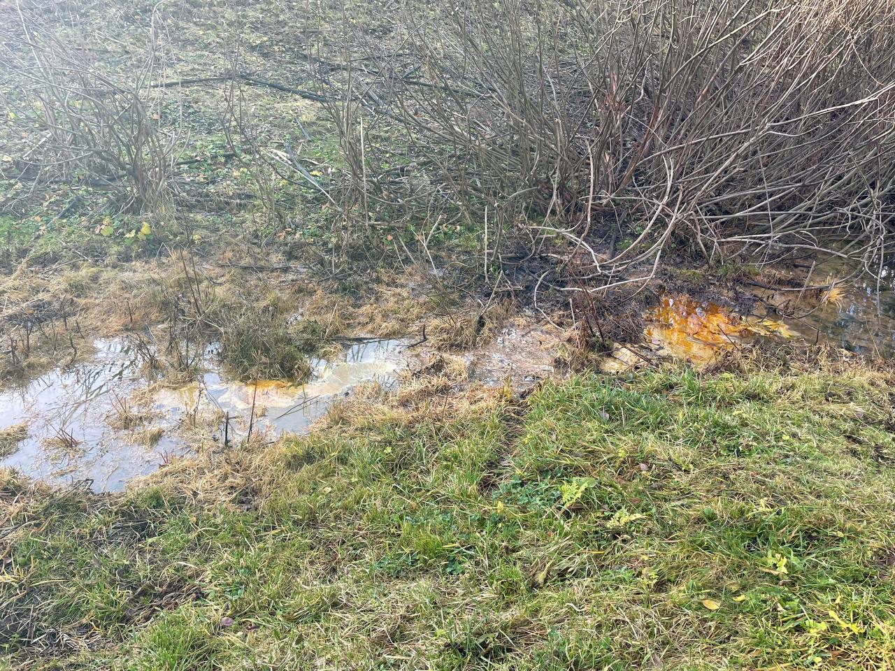 Разлив нефтепродуктов произошел в Кстовском районе Нижнего Новгорода Нефтесодержащую эмульсию обнаружили в полосе отвода железной дороги у станции Ройка в районе поселка Березовый клин сообщили в Росприроднадзоре Обстоятельства и возможные причины произошедшего выясняются Фото Росприроднадзор Подписывайтесь на Ъ Приволжье