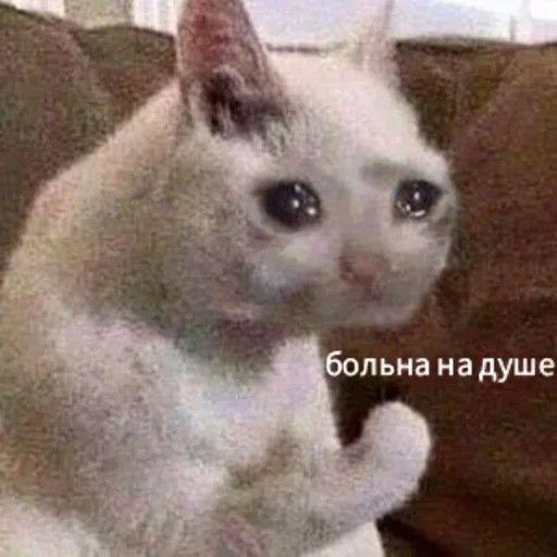 Левобережную рощу могут передать под застройку ЖК  В Ростове-на-Дону застройщики обратились к региональному правительству с просьбой передать им территорию Левобережной рощи для строительства. Инвестиционный проект представило ООО «СЗ «ДонСити». Об этом сообщается на официальном сайте правительства Ростовской области.  Согласно информации источника, застройщик подал заявку на признание своего проекта «масштабным инвестиционным проектом» в пределах улицы Шоссейной в Ростове-на-Дону. Компания планирует не только возвести новое многоквартирное жилье и развить инфраструктурные объекты, но и создать рекреационную зону и набережную к западу от Ворошиловского моста.  Застройщик уверен, что их проект соответствует всем необходимым критериям для масштабного инвестиционного проекта. Если это будет подтверждено, земля будет предоставлена в аренду без проведения торгов. Это также подразумевает, что как минимум 5% построенного жилого фонда перейдет в муниципальную собственность.  Да-да, давайте уже все вырубим и снесем. Чего мелочиться?
