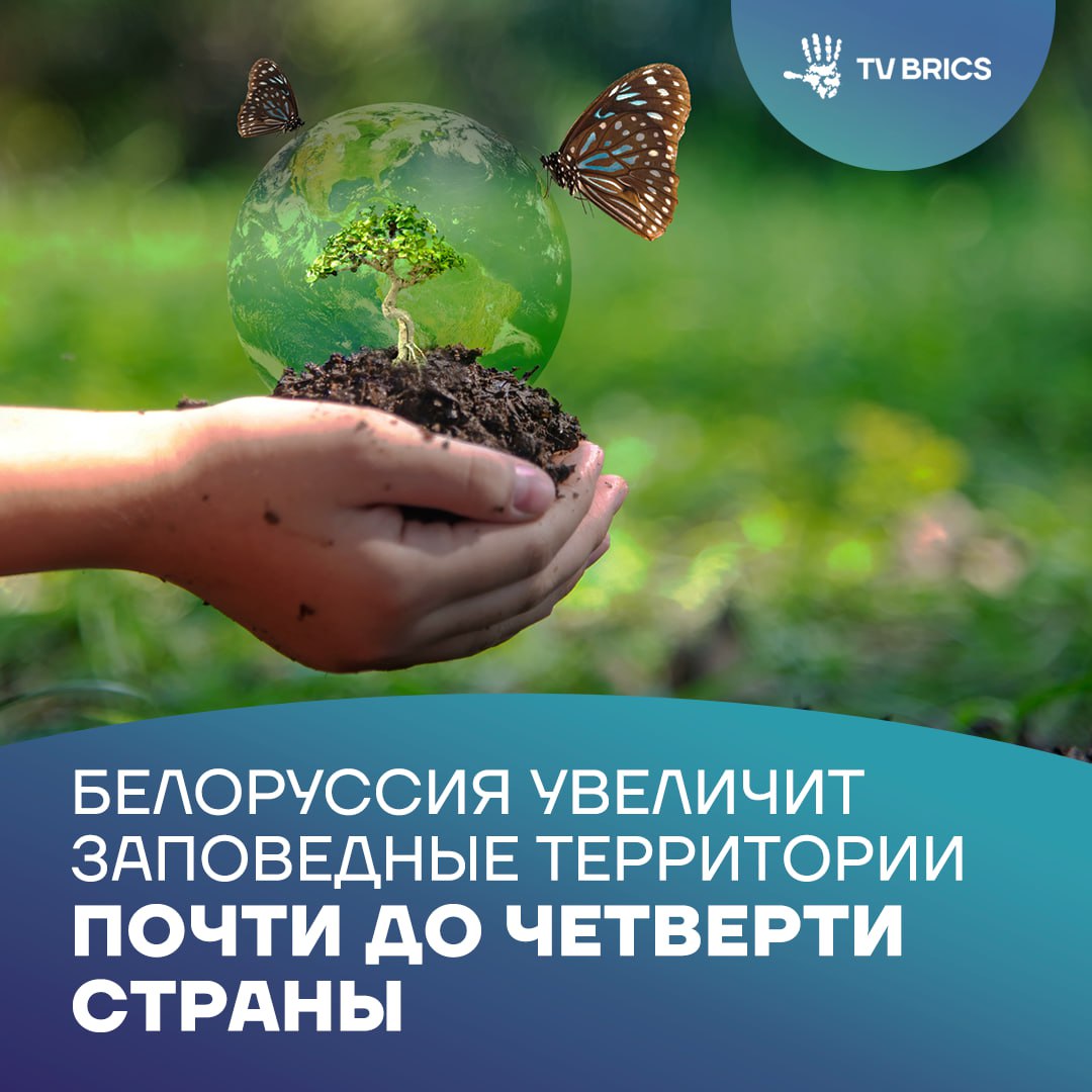 Правительство Белоруссии утвердило новую стратегию и национальный план по сохранению биологического разнообразия Документы подписал премьер министр страны Александр Турчин Согласно стратегии площадь территорий под специальной охраной вырастет до 22 от общей территории страны а особо охраняемые природные зоны займут 9 4 Отдельно утвержден национальный план действий на 2026 2030 годы направленный на сохранение и устойчивое использование биологического разнообразия По информации БелТА документы выполняют обязательства Белоруссии по Конвенции о биологическом разнообразии 1992 года и обновляют стратегию 2010 года Подробнее о национальном плане и ключевых мерах читайте в материале MAX ВК ДЗЕН Поделиться бустом