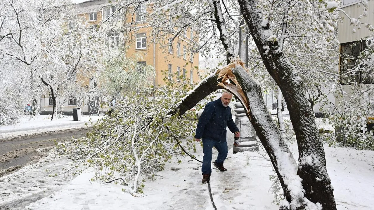 Из за непогоды в Подмосковье при падении деревьев пострадали шесть человек В 31 муниципалитете Московской области зарегистрировали 542 упавших дерева повреждения получил 161 автомобиль а в 19 городских округах было нарушено электроснабжение К ликвидации последствий привлекли 476 спасателей и 121 единицу техники В случае дальнейшего ухудшения обстановки ведомство задействует резервную аэромобильную группировку Ранее глава региона Андрей Воробьев уже сообщал что жители ряда муниципалитетов остались без электричества Особое внимание власти уделили наиболее пострадавшим округам Раменскому Домодедовскому Дмитровскому и Чеховскому Москваунт Подписаться