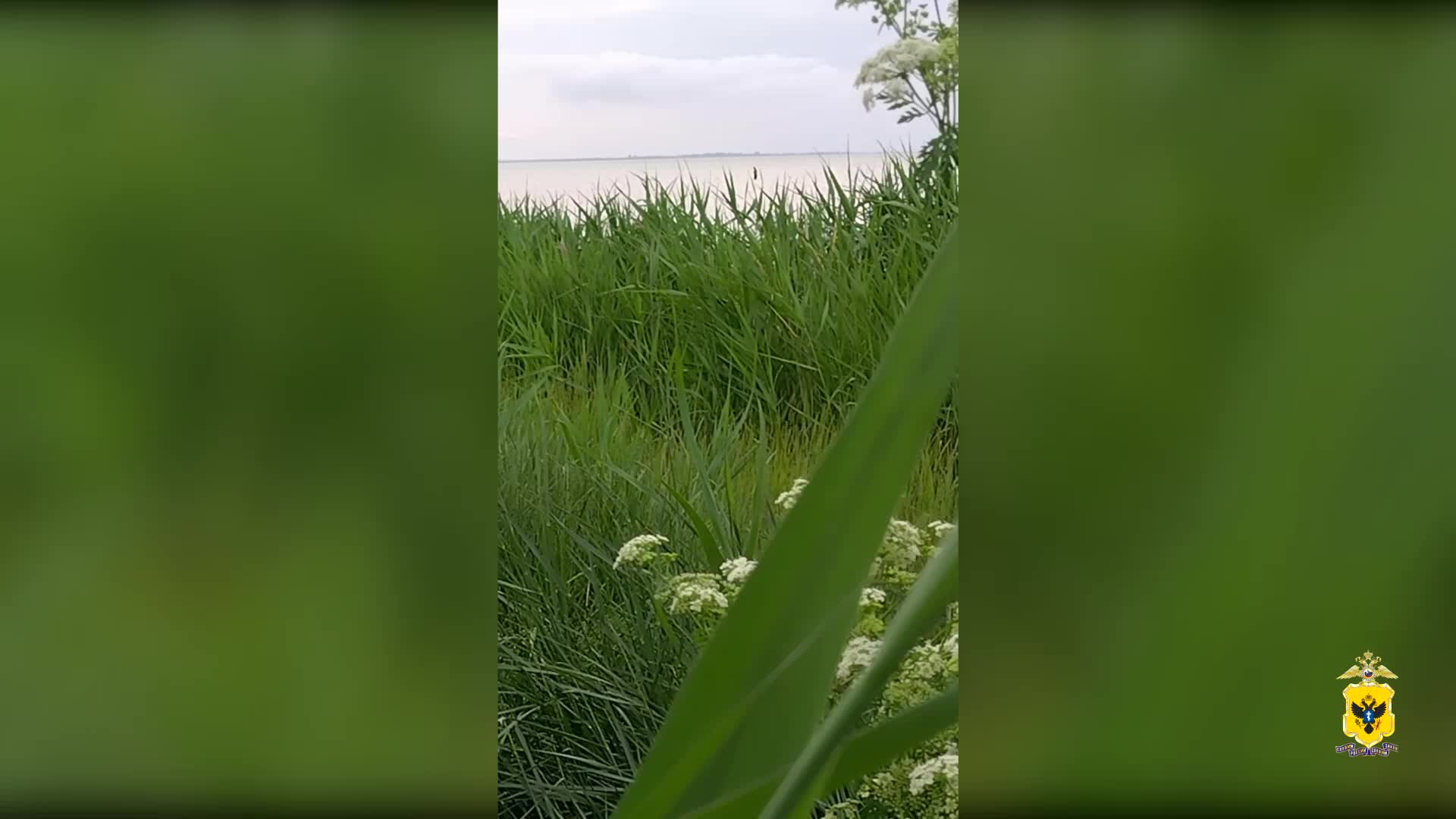 Четверо жителей Херсонской области задержаны за незаконную добычу креветок