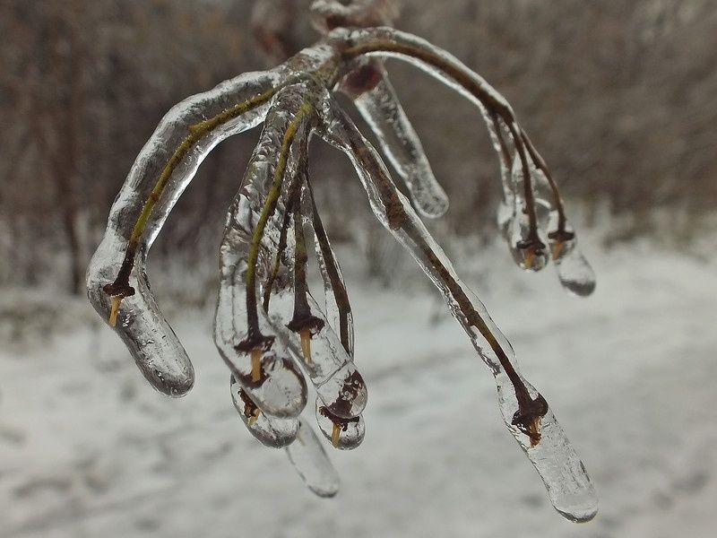 Внимание Штормовое предупреждение в РО Сегодня с 16 00 19 00 и до вечера 4 января ожидаются гололёд налипание мокрого снега на проводах и деревьях сильный ветер 15 20 м с а ночью и утром 4 января до 23 м с сообщает донское МЧС Будьте внимательны и осторожны на дорогах Подписывайтесь на МАХ присылайте новости