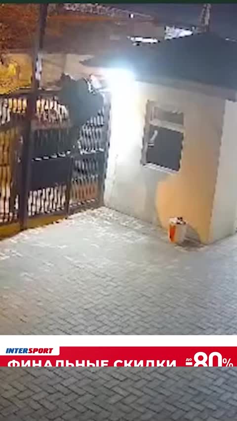 Трое иностранных граждан задержаны после вооруженного нападения в Смолевичском районе