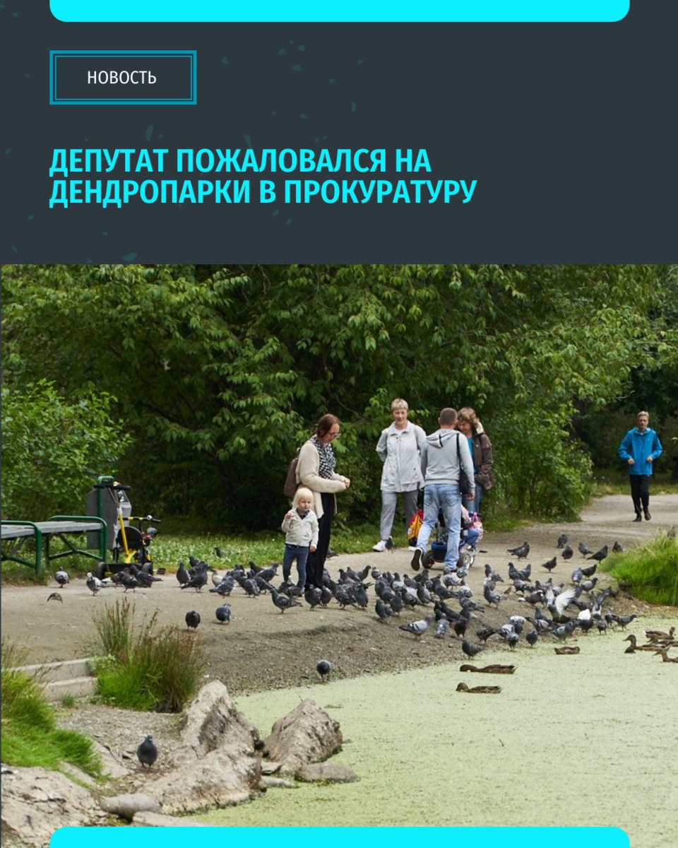 В Екатеринбурге разгорается скандал вокруг введения платного доступа в дендропарки на улицах Первомайской и 8 Марта.  Прокуратура Свердловской области начала проверку законности этого нововведения после обращения депутата Госдумы Андрея Альшевских.  С 11 июля для проведения коммерческой деятельности на территории дендропарков необходимо приобретать специальные абонементы: суточный за 1000 рублей или месячный за 5000 рублей. Примечательно, что официальный приказ о введении платы нигде не опубликован.Информация об этом появилась только на табличках у входа в парк   «Уральский меридиан»