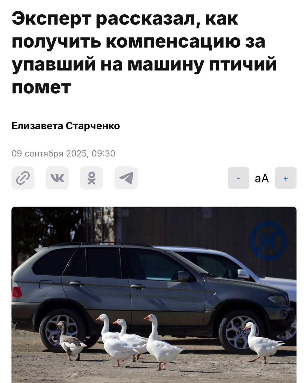Водители могут получить компенсацию за упавший на машину птичий помет Юрист рассказал что это реально если оформлен КАСКО и в договоре прямо прописан риск повреждения животными или воздействия птиц Эксперты утверждают кислота в экскрементах может разъесть краску Если помет попал на кузов нужно сразу сделать фото сообщить в страховую и ни в коем случае не пытаться стереть его с машины в этом случае в выплате могут отказать Теперь реально к деньгам