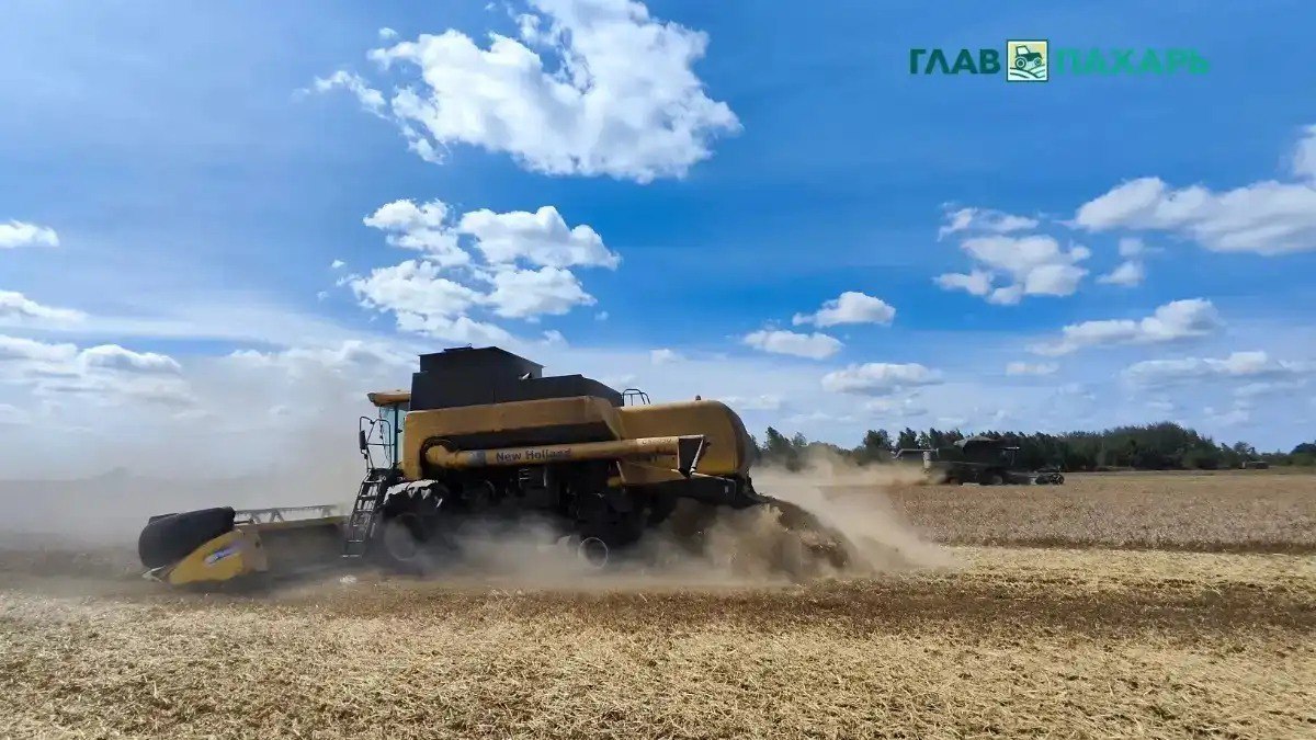 Новосибирский комбайнер пострадавший при уборке пшеницы получил компенсацию в 320 тысяч рублей Подробности