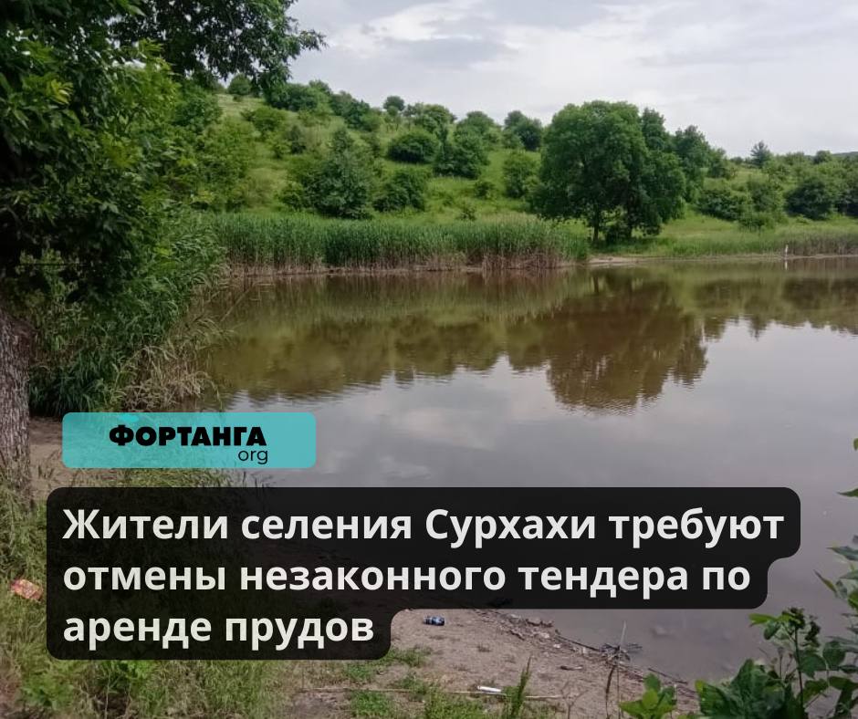 Жители селения Сурхахи требуют отмены незаконного тендера по аренде прудов  Четыре пруда и 10 гектаров земли в селе Сурхахи, переданные в аренду с нарушением законодательства, стали причиной конфликта между жителями, властями и арендаторами. Прокуратура признала сделку незаконной, но министерство сельского хозяйства Ингушетии не отзывает тендер.  Согласно постановлению прокуратуры от 16 сентября 2024 года, участок был передан в аренду на 49 лет с нарушением Земельного и Водного кодексов РФ. Участок включает пруды, находящихся в государственной собственности, доступ к которым ограничили.  Председатель общественной комиссии Магомед Нальгиев рассказал «Фортанге», что жители узнали о тендере только после начала работ. «Мы обнаружили, что деревья срублены, а два пруда осушены. Эти пруды — единственное место отдыха, водопоя и рыбалки для нашего села. Мы требуем вернуть их в общественное пользование», — заявил он.  Документы, оказавшиеся в распоряжении «Фортанги», указывают на наличие рядом с участком охраняемых исторических захоронений VI–XII веков, что подтверждается постановлением Правительства Республики Ингушетия от 9 января 2001 года.  Первый заместитель председателя правительства Ингушетии Магомед Евлоев в своём письме от 27 сентября 2024 года утверждает, что участок был передан законно и не содержит объектов культурного наследия. Однако прокуратура и местные жители оспаривают эту позицию, указывая на нарушения законодательства.  После массового протеста жителей работы на участке были частично приостановлены. Тем не менее, тендер остаётся в силе. Жители проводят субботники, собирают средства на восстановление прудов и готовят коллективный иск против арендаторов. Прокуратура продолжает проверку предоставленных данных, включая запросы в археологические центры.  Подробнее читайте на сайте.