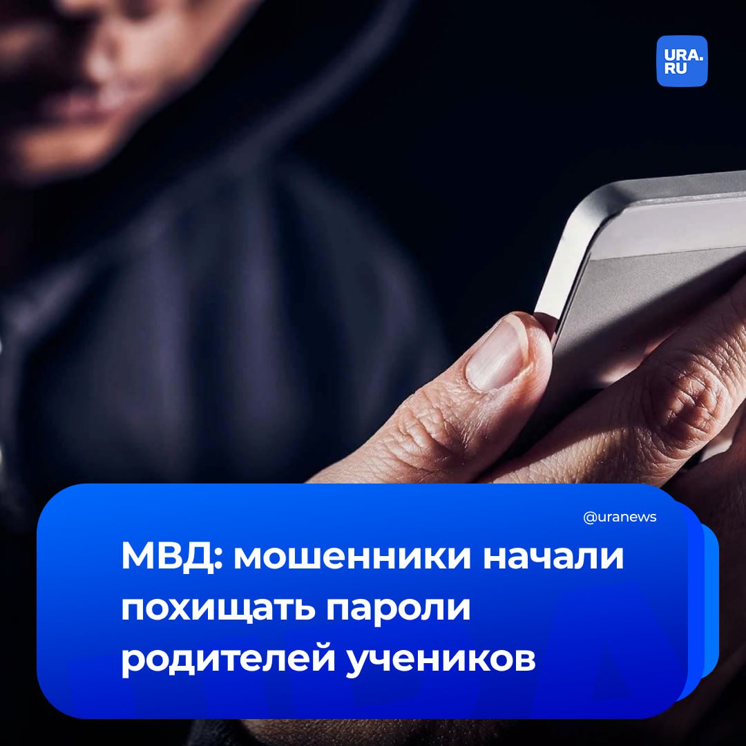 Мошенники похищают пароли родителей учеников под предлогом проведения опроса о школьной жизни. Об этом сообщили в управлении по организации борьбы с противоправным использованием информационно-коммуникационных технологий МВД. Злоумышленники рассылают сообщения от имени родительского комитета. В них содержится ссылка на сайт мошенников, где родителей просят проголосовать по тем или иным вопросам школьной жизни. Например, оценка питания в столовой или проведения внешкольных мероприятий. Для этого нужно авторизоваться через личный аккаунт, после чего логин и пароль попадают в руки злоумышленников. В дальнейшем мошенники могут их использовать для обмана подписчиков, друзей и родственников, передал ТАСС.