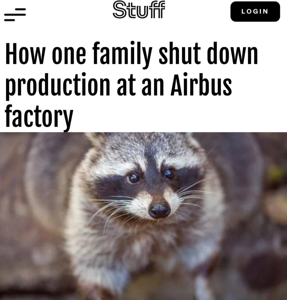 "Необычный инцидент на заводе Airbus в Канаде: производство остановлено из-за енотов" На канадском заводе Airbus в городе Мирабель, расположенном в 40 км от Монреаля, произошел необычный инцидент, который привел к временной остановке производства. Причиной стала семья енотов, проникшая на территорию предприятия. Сотрудники завода обнаружили взрослую самку енота, когда она лазила по шасси одного из самолетов модели A220, который должен был быть отправлен европейскому авиаперевозчику. Это наблюдение вынудило руководство завода приостановить все операции и организовать поиски других возможно проникших животных. В результате было найдено пять енотов-детенышей. • Всех обнаруженных животных удалось вывести за пределы завода, после чего работа предприятия была возобновлена.