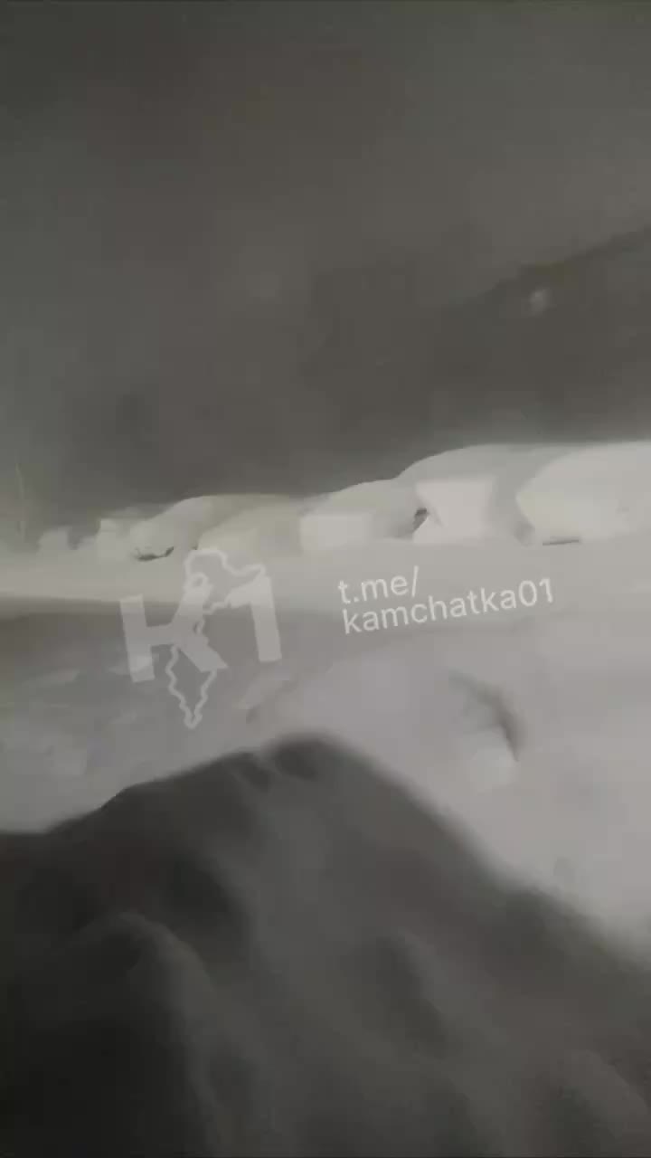 Аварийные отключения электроэнергии в Елизовском районе из-за циклона