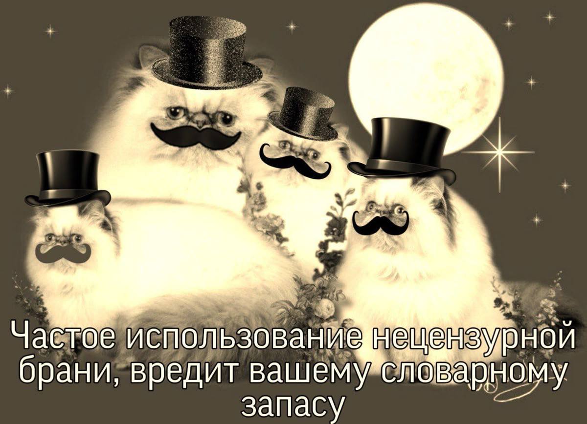 Мат прочно вошёл в повседневную речь россиян Согласно данным ВЦИОМ семь из десяти жителей страны используют нецензурную лексику При этом каждый третий прибегает к ней постоянно Парадокс заключается в том что несмотря на распространённость привычки большинство 62 респондентов осуждают использование мата Подпишись на kpdvru