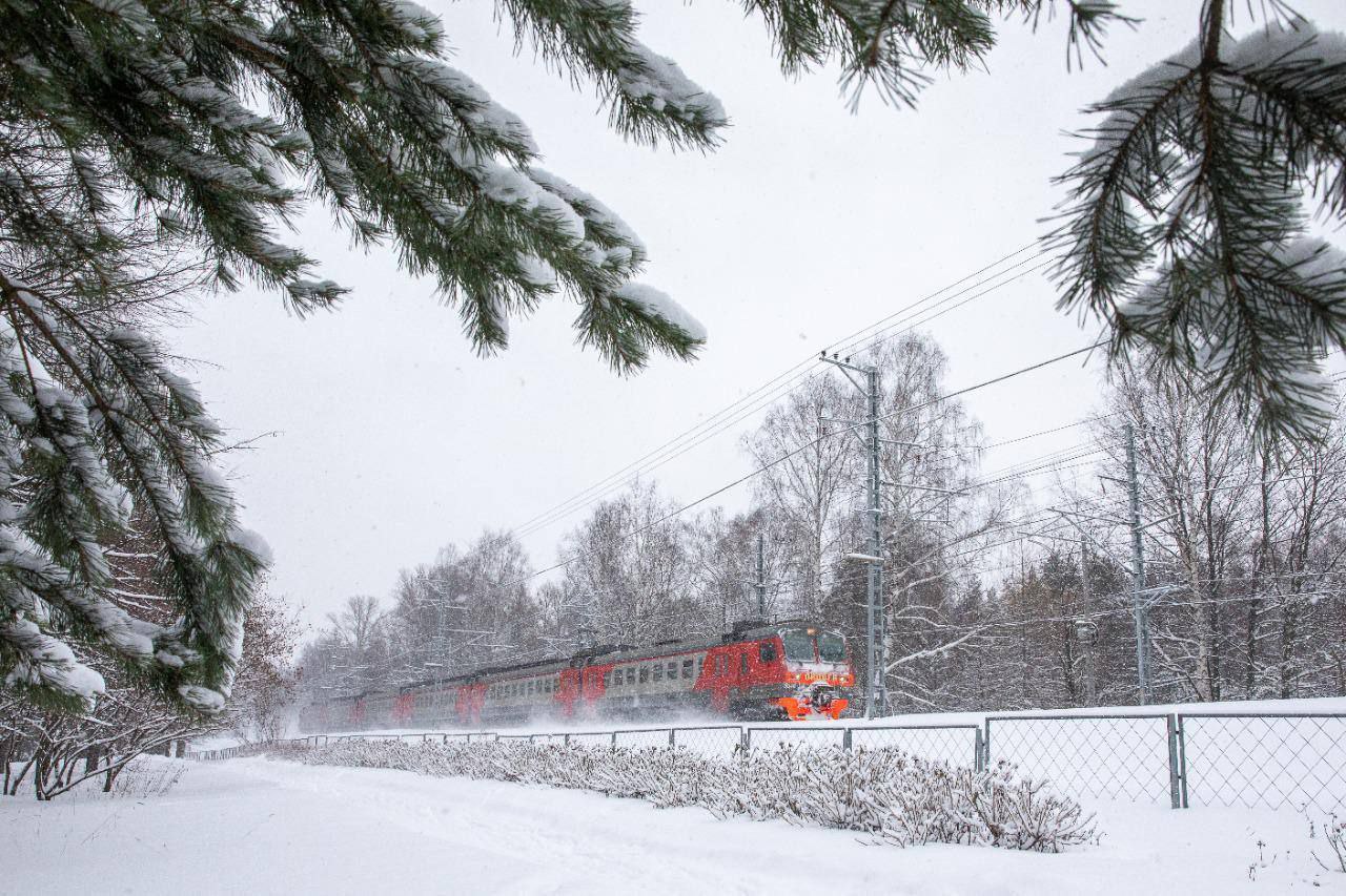В Петербурге сегодня запустили Лыжную стрелу Первые электрички стартовали с Финляндского вокзала Они повезли лыжников в Токсово Уже 4 января стрелы отправятся в сторону Шапок и Орехово Проезд в лыжных электричках бесплатный Билеты приобретаются заранее в районных администрациях Подписаться на НТВ Петербург Буст канала