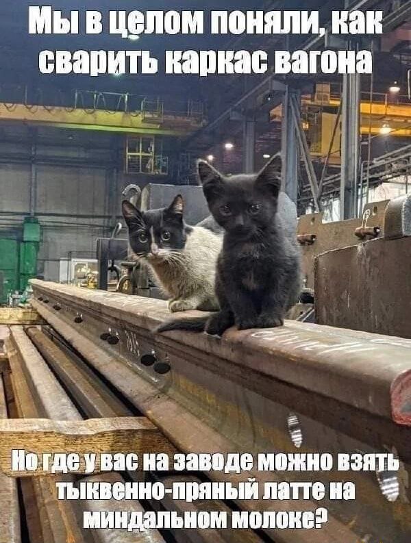 Молодежь не рвется работать на заводах в Свердловской области потому что там шумно и опасно Исследования Headhunter показали что это основная причина У молодых людей спрашивали с чем ассоциируется у них завод Ответ про шум грязь и опасность дали 43 респондентов Еще 41 назвал работу на заводе скучной и монотонной 33 отметили низкие зарплаты рабочих а еще 11 указали на непрестижность такого рода деятельности Однако есть и положительные ответы Например некоторые представители молодежи считают что завод дает стабильность возможность работать руками видеть результат и приобщаться к новым технологиям И кстати в качестве старта карьеры работу на заводе готова рассмотреть половина из респондентов Да несмотря на совковую атмосферу а ее отметили 65 опрошенных EanNews