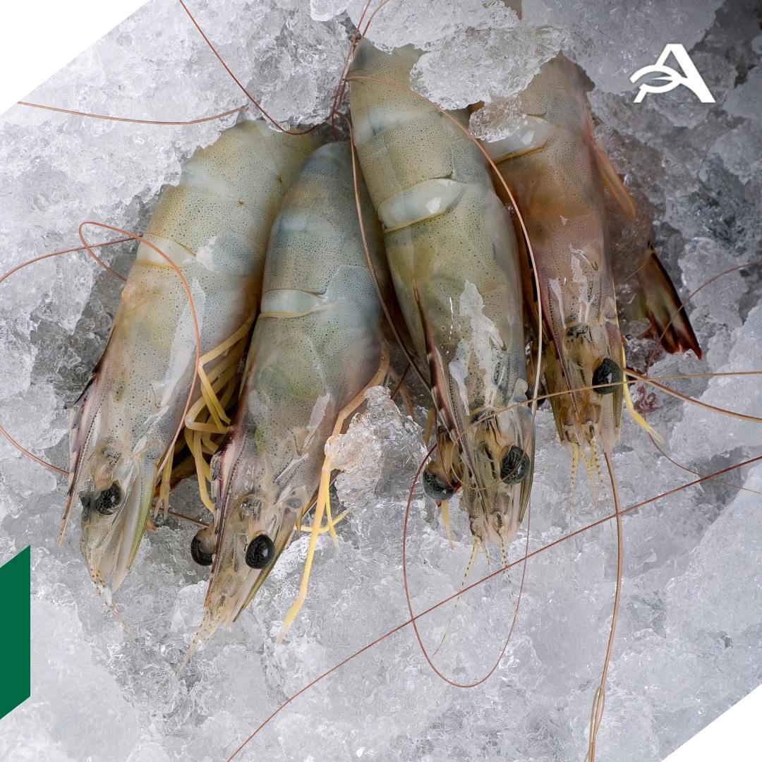Россия может закрыть поставки чилийских рыбных продуктов Россельхознадзор обратился в компетентное ведомство Чили с просьбой принять меры по недопущению поставок в РФ рыбопродукции с нарушениями в документации и маркировке говорится в сообщении ведомства В случае повторных выявлений нарушений Россельхознадзор будет вынужден ввести с 20 сентября 2025 года ограничительные меры на поставки чилийских рыбных продуктов в Россию уведомляет российская служба Ведомством неоднократно фиксировались несоответствия в сопроводительной документации а также отмечались расхождения в информации указанной на маркировочных этикетках и заявленной в ветсертификатах agroexpert Наши каналы
