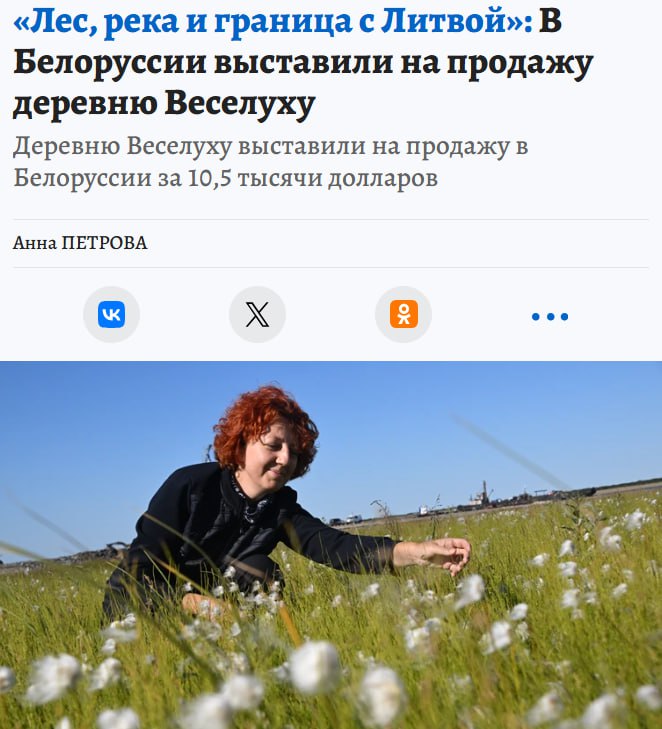 В Беларуси на продажу выставили целую деревню Веселуха в 20 км от границы с Литвой за 10 5 тысяч около 800 тысяч В продаже целая деревня на три двора в живописнейшем уединенном месте частная собственность указано в объявлении nedvizhna