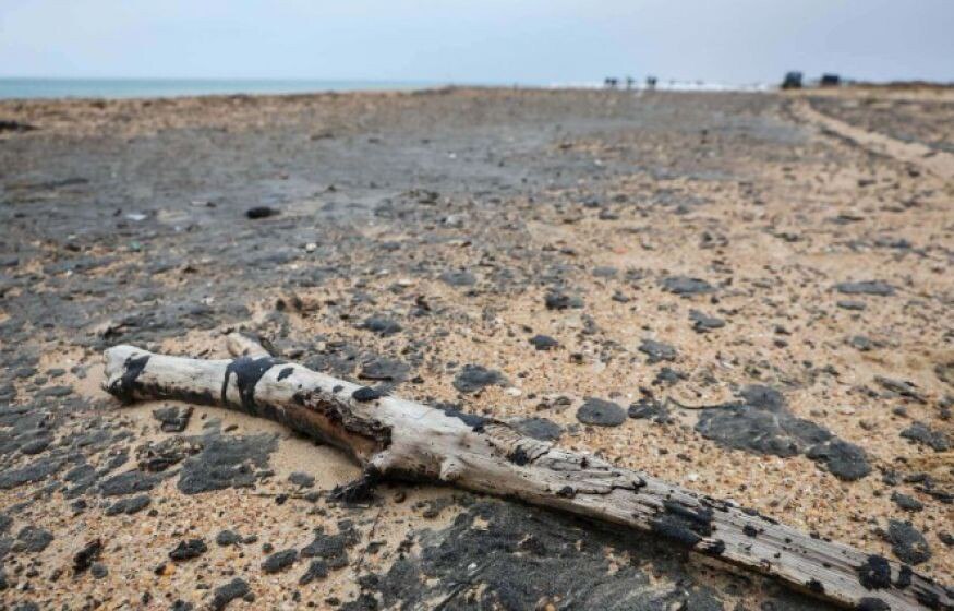 Купание в Чёрном море после разлива мазута грозит ожогами  "Сейчас трудно предсказать, как будут выглядеть пляжи к концу мая – только очень смелые люди могут это сделать, если у них нет материальной заинтересованности в своих словах. Одним из результатов уборки мазута и вывоза загрязнённого песка станет изменение самого пляжа", – заявил научный руководитель Института водных проблем РАН Данилов-Данильян.  Он отметил, что если кожа коснётся сгустка мазута, это может привести к ожогам и аллергическим реакциям, включая экзему.  Подписаться