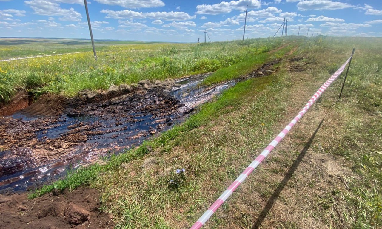В Переволоцком районе Оренбуржья произошёл разлив нефти Россельхознадзор обнаружил, что с территории сельхозугодий в 270 кв.м. самовольно вывезли плодородный слой почвы и перемешали его с минеральным грунтом. Земляные работы провели в процессе ликвидации порыва нефтяного трубопровода. Ведомство намерено наказать виновных. Оренбуржье