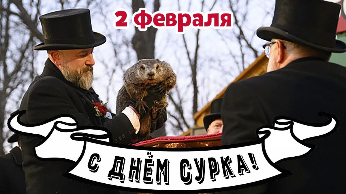 С Днём сурка Благодаря известнейшему фильму этот кулуарный американский праздник стал известен во всём мире Хотя на самом то деле не очень он и американский корни у него вполне европейские Дело в том что по григорианскому календарю 2 февраля отмечается Сретение Господне которое и у европейцев и у славян воспринимается как середина зимы и её перелом В этот день по погоде и поведению животных определяли какой будет весна Например поляки сербы и болгары считали что в Сретенье медведь выглядывает из берлоги посмотреть на солнце и если увидит свою тень то завалится спать ещё на сорок дней потому что всё это время будут холода Чехи то же поверье связывали с барсуком а немцы с ежом Вместе с переселенцами поверье переселилось в Новый Свет а вещим зверьком назначили лесного сурка Самый первый сурок предсказатель Панксатонский Фил появился в Пенсильвании и именно он показан в фильме День сурка Фестиваль с участием Фила проводится с 1887 года по сей день Считается что в пасмурную погоду сурок не видит своей тени и спокойно покидает нору значит зима скоро закончится а в солнечный день пугается тени и прячется обратно в этом случае зима продлится ещё шесть недель Говорят что сегодня в у горы Гобблерс Ноуб где живёт Фил морозно и ясно так что синоптики обещают нам ещё 6 недель зимы праздники мир