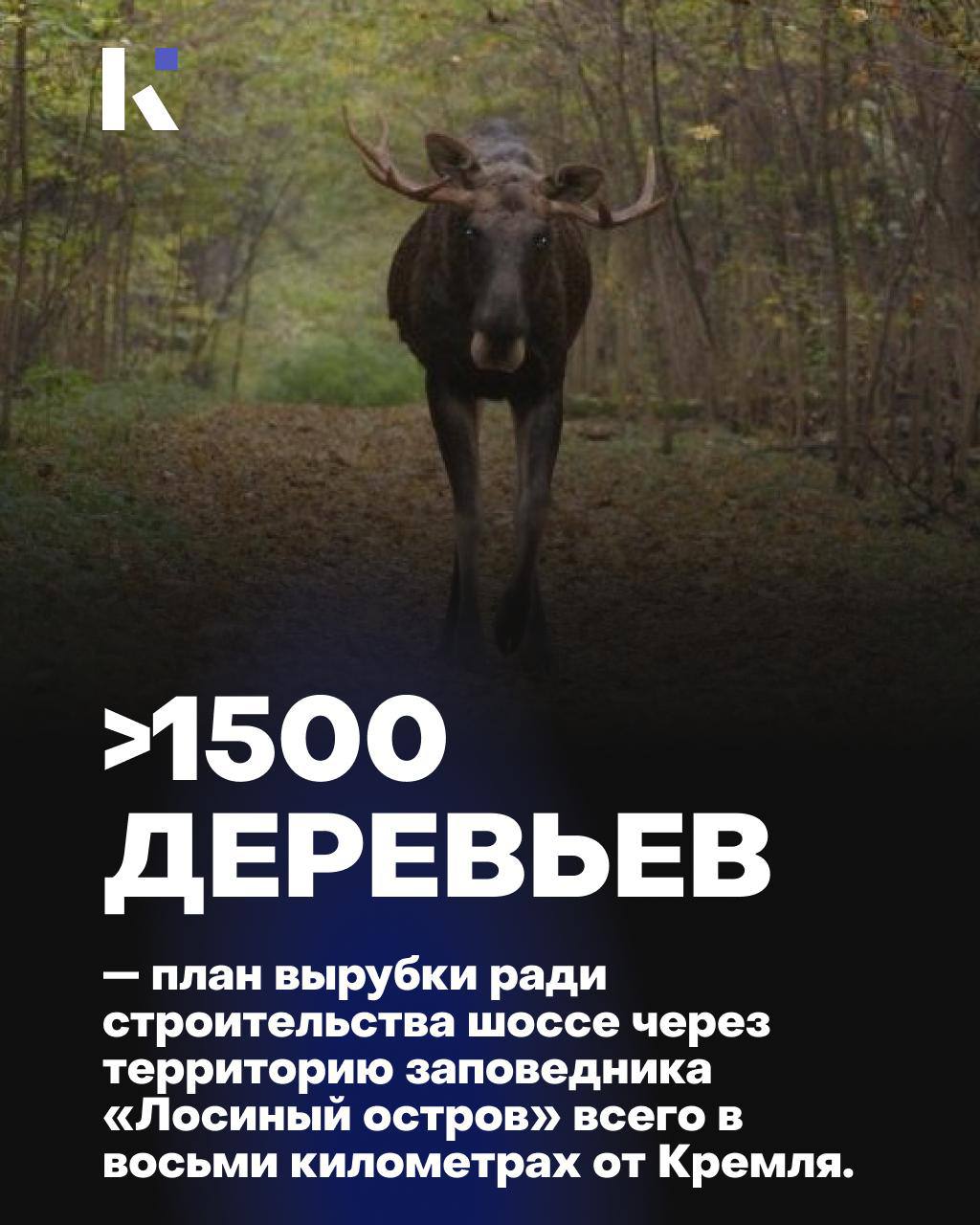 Шоссе вместо леса: что делают с «Лосиным островом» в 8 км от Кремля В подмосковном нацпарке «Лосиный остров» вспыхнул конфликт из-за строительства новой двухполосной дороги. Её пропускная способность по планам — до 900 машин в час. Проблему пробок на Ярославском шоссе это не решит, зато появится новая — прямо в заповеднике. Шоссе разрежет лес, разрушит миграционные пути животных, увеличит шумовую и световую нагрузку. По плану вырубят более 1500 деревьев. Возрастёт загрязнение воздуха и воды, усилится риск пожаров, отмечают экологи. На «прямой линии» Владимир Путин поручил «разобраться» с вопросом с учётом мнения местных жителей. Однако в апреле губернатор Андрей Воробьёв пообещал: дорога будет готова к 2026 году. Вместо диалога с гражданами — 7 июля на территорию вышли люди в масках, которые провоцировали и расталкивали жителей, угрожали «пустить КАМАЗы по ним». Полиция бездействовала. Голоса экспертов и жителей власти по-прежнему не слышат. Минприроды переписало границы заповедника, изменив его статус на «хозяйственный». Работы начинаются в эти дни — всего в восьми километрах от Кремля. Это сигнал регионам: если даже рядом со столицей возможно безнаказанно игнорировать экологические нормы, то на местах тем более никто не станет оглядываться на природу и людей. А если за проектом стоят интересы оборонки — экологическим стандартам не остаётся места. #КоалицияПротивПропаганды — независимые медиа российских регионов Все проекты Подписаться