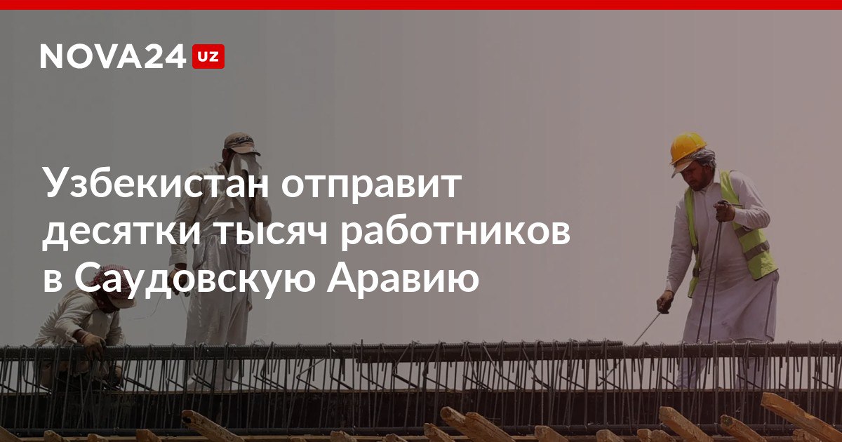 Узбекистан отправит десятки тысяч работников в Саудовскую Аравию Мигрантов подготовят заблаговременно на родине nova24 uz 317648 NOVA24 LIVE
