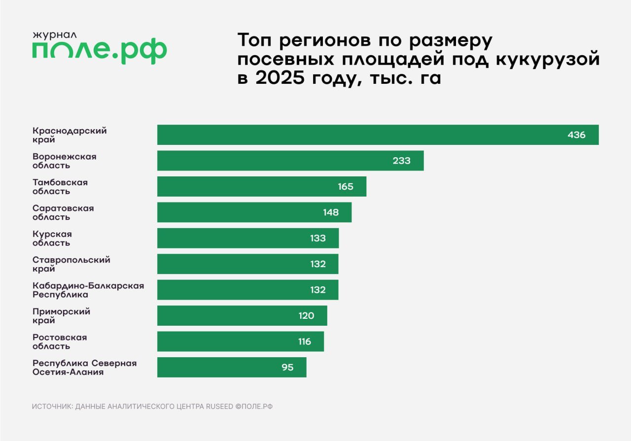 Посевные площади под кукурузой в России составят около 2,62 млн гектаров в 2025 году.  По прогнозам аналитического центра компании RUSEED, на Юге посевы могут вырасти на 5%, в частности, в Краснодарском крае – на 7%.   Также будет активно наращивать площади под кукурузой Дальний Восток – на 9% в 2025 году. Это связано с повышенным спросом со стороны животноводов и расширением кормовой базы.  Подробнее.