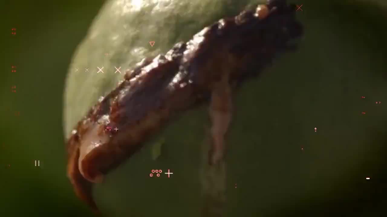 Спецоперация в Ферганской области: изъято 32 кг наркотиков из Таджикистана