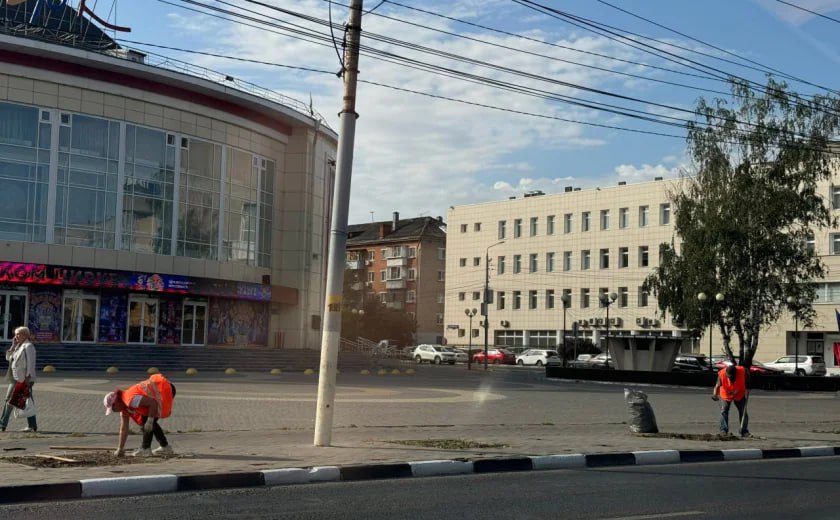 Загадочное исчезновение саженцев в центре Тулы раскрыто? Не совсем.   Не так давно в редакцию обратились читатели. Они рассказали, что на улице Советской  прям напротив цирка  выкопали молодые деревца.     В поисках правды мы обратились к городским властям. Зачем выкопали саженцы - в городской администрации не объяснили. Но...   «Озеленение территории у цирка планируется в следующем году», — добавили в городском управлении по благоустройству.