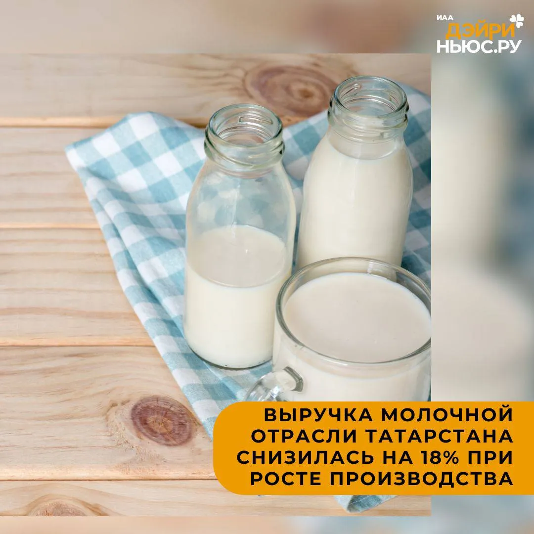 Выручка молочной отрасли Татарстана снизилась на 18 при росте производства Объемы производства при этом выросли Причина снижение закупочных цен на молоко Прирост обеспечили 6 районов Кайбицкий Атнинский Мензелинский Агрызский Балтасинский Кукморский 97 общего роста Общая выручка аграриев около 50 млрд руб Животноводство 35 млрд руб 69 это на 3 ниже чем год назад По другим направлениям скот и птица 15 7 млрд руб яйца 2 6 млрд руб Снижение цен на молоко повлияло на результаты всего животноводства новостидэйриньюс