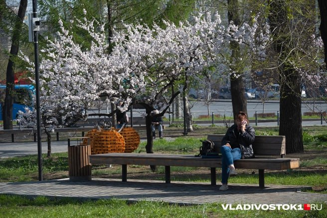 К 2030 году в крае планируется благоустроить свыше 400 парков, скверов, площадей и аллей. На сегодня уже преобразовано почти 650 общественных территорий. Активно реализуется конкурс «Твой проект», развиваются ТОСы — в крае действует более 800 объединений. В 2024 году грантовую поддержку получили 345 проектов из 42 муниципалитетов. В голосовании за объекты благоустройства участвуют сами жители — в 2023 году свой выбор сделали около 250 тысяч приморцев. Подписаться