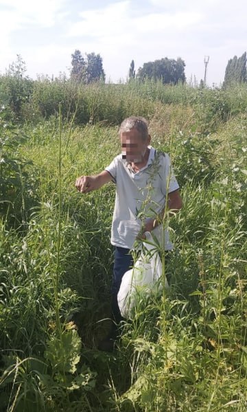 Пенсионер гулял с пакетом конопли по Стерлитамаку — и попался. Во время вечернего обхода участковые заметили мужчину, который шел с пакетом, озирался по сторонам и явно нервничал. Решили проверить — не зря. Внутри оказалась конопля весом больше 69 граммов. Позже выяснилось, что 67-летний уфимец уже попадался за хранение наркотиков. Он признался, что собрал «травку» для личного употребления. Теперь снова уголовка. Пока что пожилой собиратель находится под подпиской о невыезде. Подпишись на «Короче, Стерлитамак»