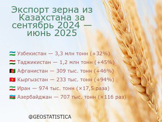Казахстан с сентября 2024 года по июнь 2025 года экспортировал 9 млн тонн зерна нового урожая Это на 60% больше, чем за аналогичный период 2023–2024 годов. Основными направлениями экспорта традиционно остаются страны Центральной Азии и ближнего зарубежья.