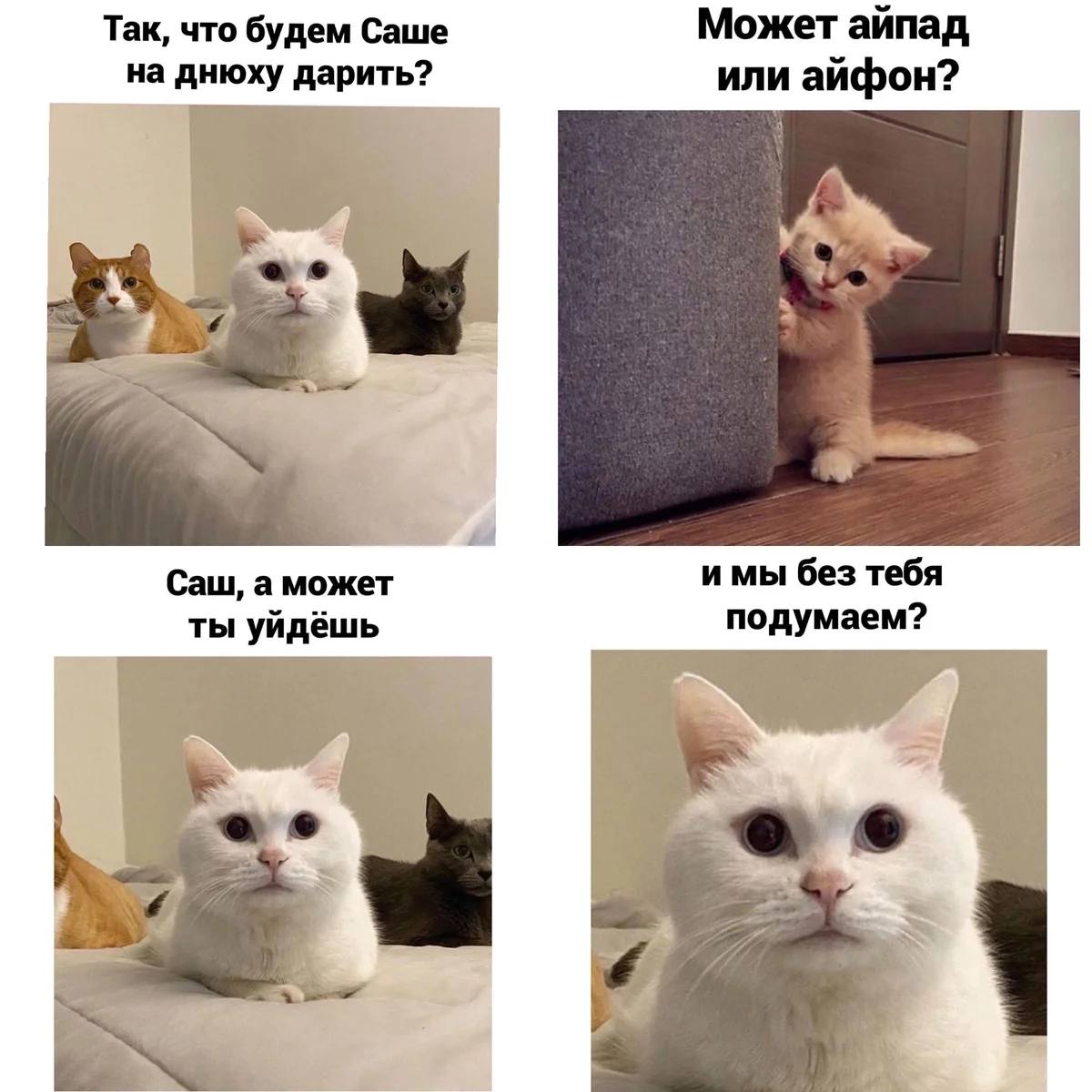 49 челябинцев любят и дарить и принимать подарки Почти половина жителей Челябинска одинаково радуются и процессу дарения и получению подарков Это показал опрос SuperJob среди экономически активного населения в преддверии Нового года Еще 26 горожан больше любят дарить 14 принимать а 11 признались что не испытывают симпатии к подарочным традициям Мужчины чаще женщин относятся к ним скептически тогда как челябинки заметно чаще получают удовольствие от любого формата обмена подарками Самыми вовлечёнными оказались жители до 35 лет большинство из них ценят и дарение и получение С возрастом растёт доля тех кому важнее радовать других Чаще всего удовольствие от дарения получают челябинцы с детьми