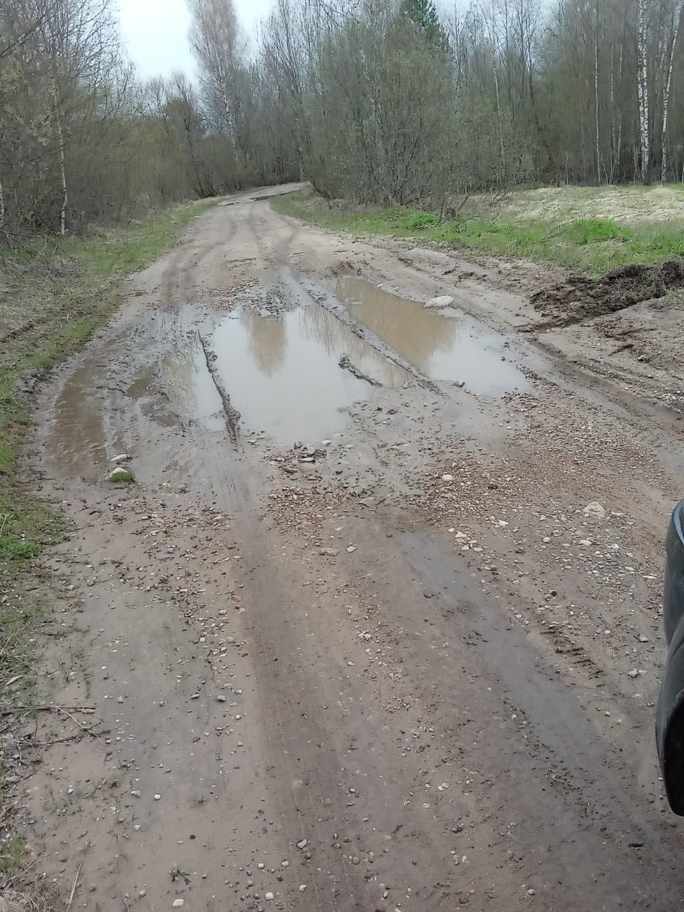 Жители деревни Кунькино жалуются на убитую дорогу в населенном пункте.  «В этом году ни разу не прошёл грейдер и не подсыпали грунтовое дорожное полотно в деревне Кунькино, администрация Калининского муниципального округа Тверской области, забыла про нас» – рассказывает местный житель. На обслуживание дорог администрацией ежегодно выделяются бюджетные средства, только куда они уходят остается загадкой.  Тем временем чиновники из администрации округа в начале ноября объявили закупку 5 автомобилей на общую сумму в 10 200 000,00 рублей, но благодаря нашим публикациям, ни на один контракт не вышел исполнитель, тем самым закупки отменены.   Администрации округа напутственное слово, сначала отремонтируйте дороги в округе, а потом покупайте автомобили.    Подписаться