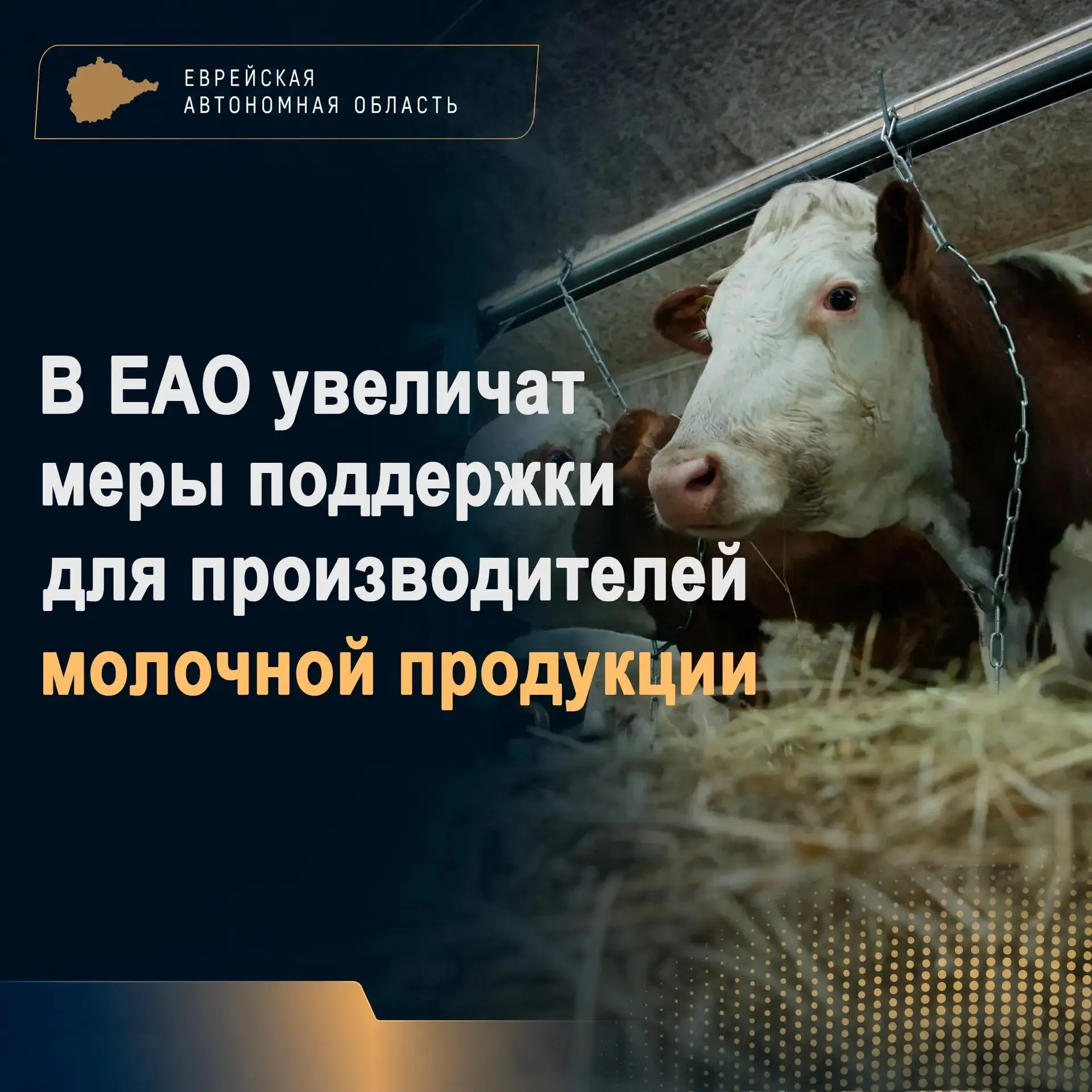 В Законодательном собрании ЕАО поддержали инициативу главы региона Марии Костюк о повышении мер поддержки личных подсобных хозяйств занятых в производстве молока Нормативы субсидирования для таких производителей увеличены почти в два раза с 8 3 до 16 рублей за килограмм продукции Для профильных личных подсобных хозяйств помощь позволит частично компенсировать затраты увереннее планировать работу сохранять и развивать хозяйство Следовательно в ЕАО будет больше своей свежей и качественной молочной продукции Мы последовательно наращиваем меры поддержки сельского хозяйства Наша стратегическая цель увеличить объемы производства чтобы доступных по цене местных продуктов на прилавках становилось больше а область вернула себе статус житницы Дальнего Востока прокомментировала Мария Костюк гп еао