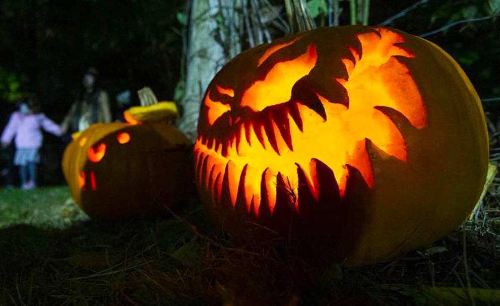 В России упал спрос на товары для Хэллоуина Продажи тематических товаров к Хеллоуину на маркетплейсах увеличились всего на 21 в то время как в прошлом году речь шла о приросте в 330 Специалисты считают что падение спроса связано с публичной критикой праздника общественниками и политиками Хеллоуин в мире отмечается в ночь с 31 октября на 1 ноября В России праздник получил популярность в конце 1990 х а наибольший интереса к нему по мнению аналитиков россияне проявляли в 2021 году А вы празднуете Хэллоуин да ведь любой праздник это повод для праздника нет подобное в нашей семье праздновать не принято россия общество культура