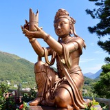 Политджойстик / Politjoystic ™