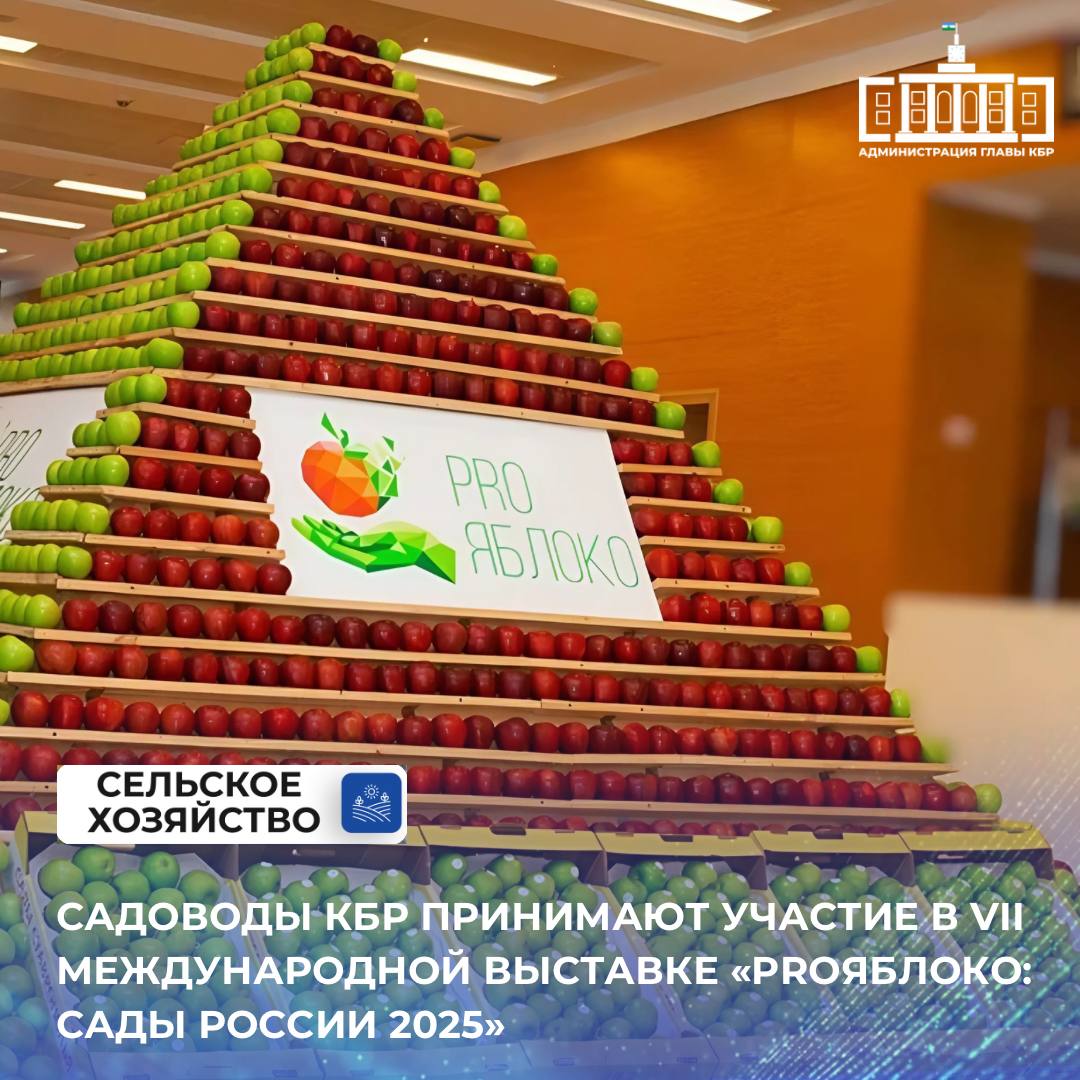 Сегодня на территории выставочного комплекса «МинводыЭКСПО» открылась 7-я международная выставка «PRO Яблоко: сады России 2025». На протяжении 3-х дней на площади более 20 тысяч квадратных метров будут представлены передовые разработки в сфере садоводства, а также хранения и переработки плодовой продукции. В мероприятиях принимает участие делегация от Кабардино-Балкарии, включая научные учреждения и ведущие садоводческие хозяйства республики. В программе выставки – конференции, панельные дискуссии, круглых столы, где свыше 80 ведущих экспертов, учёных и практиков со всего мира поделятся своими знаниями и опытом в области производства, хранения и упаковки плодов и ягод.