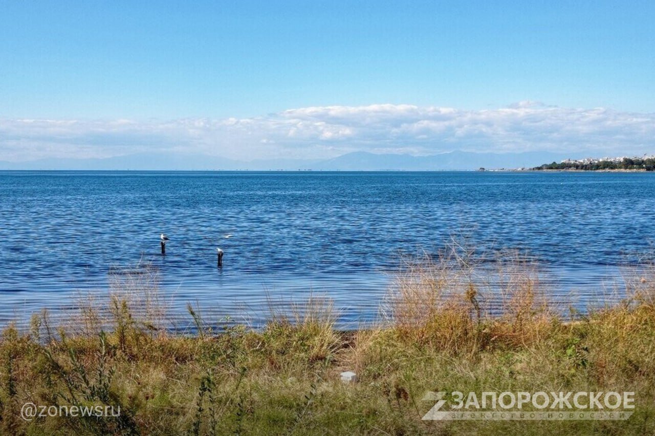 Эксперты заявили о важности более объемной расчистки рек в Запорожской области  «Одним из вариантов опреснения Азовского моря является расчистка рек от растительности и ила. Увеличение проточности и полноводности рек, впадающих в Азовское море, поможет снизить соленость. В 2024 году Управлением охраны и использования водных объектов и биологических ресурсов было реализовано 3 проекта по расчистке участков рек Запорожской области: Обиточной, Домузлы и Малый Утлюк»,  — отметили в Управлении охраны и использования водных объектов и биологических ресурсов Запорожской области.  «Проделана колоссальная работа. Однако, эффект опреснения Азовского моря оказался минимальным. Реки наполнились от 10 до 15 см, а местами и вовсе не наполнились. В результате проделанных работ мы пришли к выводу, что необходимо производить расчистку рек максимально больших участков с расстоянием от 30 до 50 км»,  — добавили в ведомстве.    В управлении уточнили, что из-за малого объема пресной воды из рек, впадающих в Азовское море, за последние 18 лет при Украине его соленость выросла с 9,3 до 15 промилле. Этот фактор повлиял на значительное увеличение популяции медуз в Азовском море.     , VK и ОК