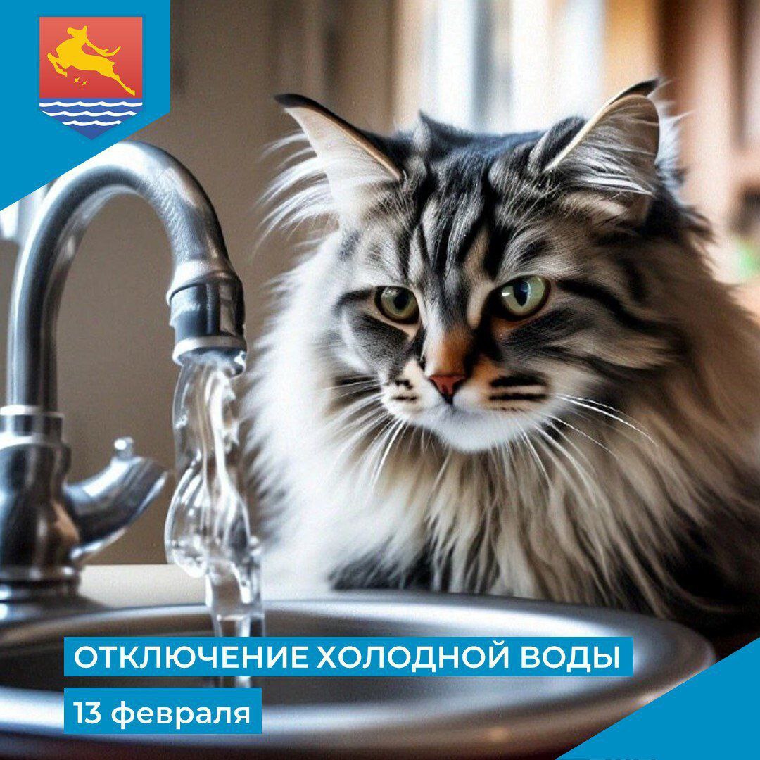 МУП Водоканал сообщает что в связи с производством неотложных ремонтно восстановительных работ 13 февраля с 09 30 до 13 30 отключат холодное водоснабжение по следующим адресам улица Марчеканская 31 22 20 21 18 17 16 15 14 13 10 6 4 2А 2 1 2 корпус 1 2 улица Литейная 8 улица Гагарина 56 39 21 улица Кольцевая 29 Жителей просят иметь необходимый запас воды  Диспетчер Водоканала 62 47 70 Мэрия Магадана