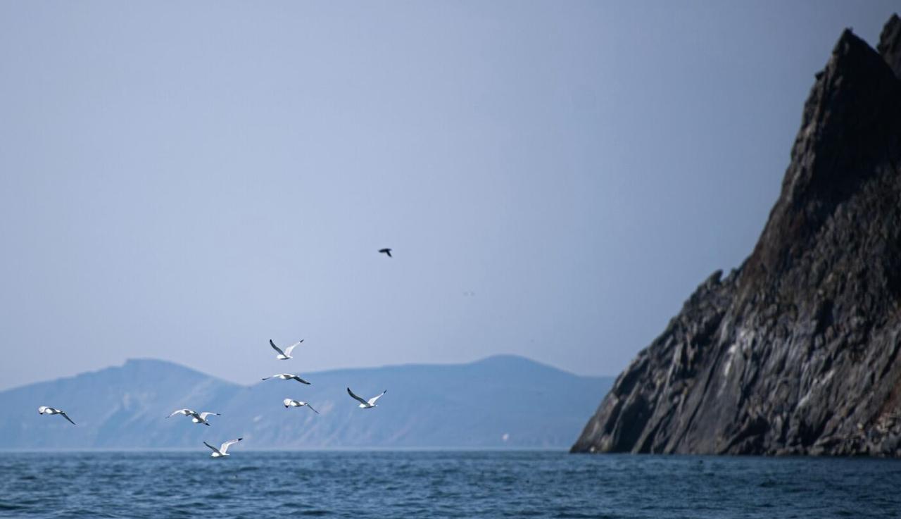 Стоимость потенциального тоннеля между Чукоткой и Аляской составит от семи восьми до 12 15 миллиардов долларов считает автор проекта Виктор Разбегин Колебания связаны в том числе и с тем что различные исследователи в эту стоимость погружают разный объем работ либо только саму проходку тоннеля либо полное обустройство со всей сопутствующей инфраструктурой пояснил ученый