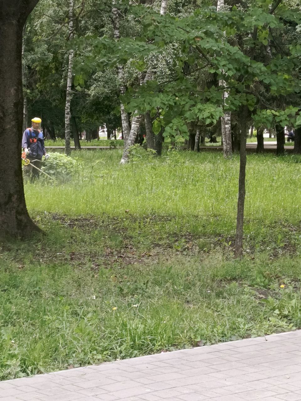 В Курске продолжается уборка города. По данным комитета ЖКХ, в работах участвуют 71 человек и 46 единиц техники. Еще 12 машин и 42 специалиста убирают общественные пространства. Компании очищают дороги, тротуары, остановки и прилегающие территории. Они собирают мусор, стригут газоны, удаляют пыль и грязь с дорог и тротуаров. На общественных пространствах убирают мусор, восстанавливают и приводят в порядок малые архитектурные формы. Также сегодня ведутся подготовительные работы под ямочный ремонт на улице Профсоюзной.