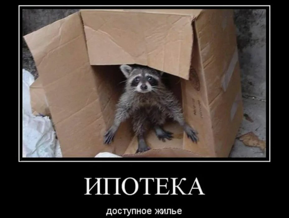 Екатеринбуржцы массово переезжают в новостройки а спрос на однушки бьет рекорды За год число горожан которые ищут жильё в новостройках Екатеринбурга выросло на 25 Особенно активно екатеринбуржцы выбирают двушки 32 чуть меньше трешки 31 а спрос на однушки вырос на рекордные 24 По данным Авито Недвижимости по всей стране интерес к первичке за год вырос на 7 а количество заключённых договоров долевого участия почти на 20 В Свердловской области в III квартале подписали 6 3 тысячи таких договоров это один из лучших показателей в России Средняя цена квадрата в новостройках Екатеринбурга 165 тысяч рублей Но о важных нюансах которые нужно знать перед покупкой помнят не все Об этом мы рассказали здесь Планируете покупку собственного жилья очень хочу в ближайшее время надоело снимать пока подожду не время для покупки я никогда не накоплю на квартиру с такими ценами Подписаться на 4 канал Мы в MAX